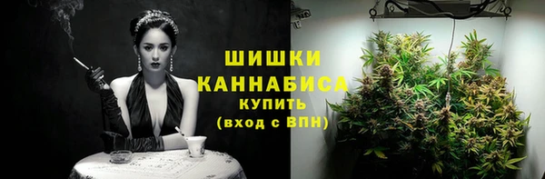 mdpv Гусев