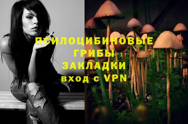 гидропоника Белоозёрский