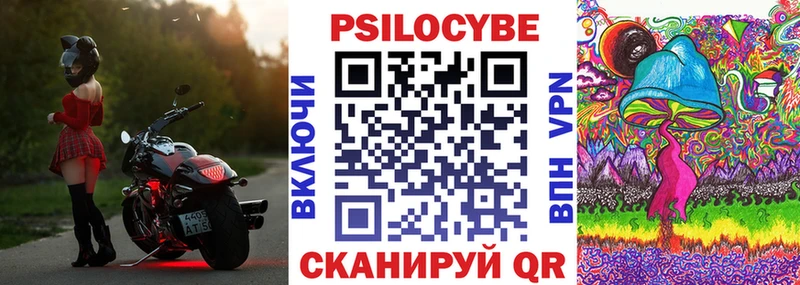 Галлюциногенные грибы Psilocybe  Юрьевец 